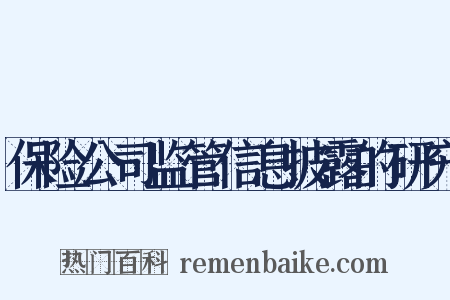保险公司监管信息披露的研究是什么意思的图片